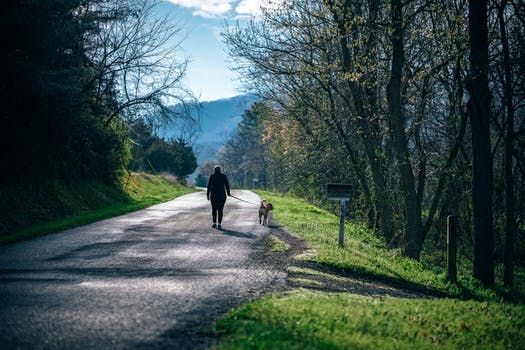 gps trackers for dementia and wandering